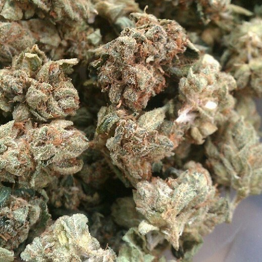 Phantom OG | Marijuana Strain Reviews