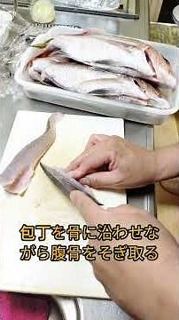 【マゴチの捌き方】刺身、煮付け、天ぷらなど美味しい貴重な魚