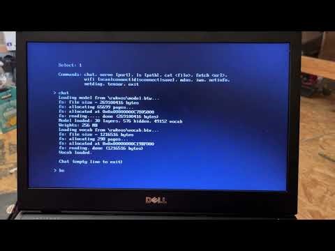 Bare-Metal AI: Booting Directly Into LLM Inference ‚ No OS, No Kernel (Dell E6510)