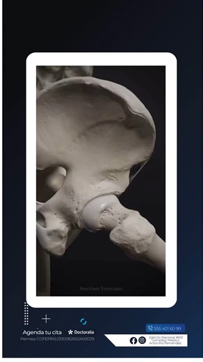 Así se ve el movimiento que te permite caminar, correr y saltar. 🏃‍♂️💨 Una alineación perfecta es igual a una vida activa. ¿Tienes dudas sobre tu pisada o dolor articular? Déjamelas en los comentarios. 👇 #Anatomia #Huesos #Trauma #TipsMedicos #CuerpoHumano | Ortopedia y Traumatología de Excelencia