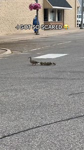 #relatable #summerproblems #mosquitobite #buglife #funnyvideo #momhumor #everydaymoments | Chloeisag
