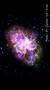 6K views · 115 reactions | • Vision Across the Full Spectrum: The...