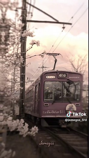 Discover Japan Through Its Unique Food and Culture