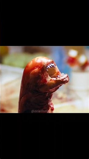 Alien 1979 #alien #alien1979 #terror #scifi #movieedits #xenomorph #xenomorfos #invasiónalienígena