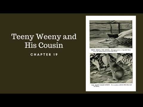 Listen and Look Burgess Animal Book Chapter 19: Teeny Weeny and His Cousin