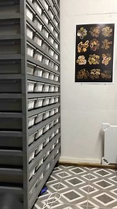 Rearranging Rack Timelapse #shorts #snakes #ballpython #ballpythons #ballpythonsofinstagram #snakebreeder #ballpythonbreeder #fyp #fypシ | Rodents & Royals