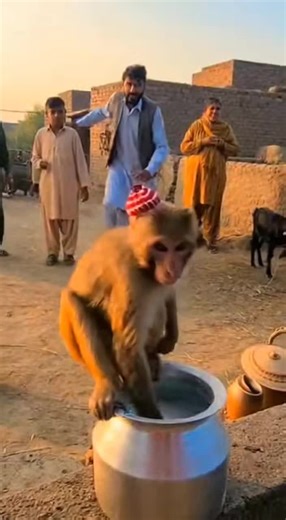 Cartoon Fun #cartoon #kids #kidscartoon #cartoonforkids #kidsvideo