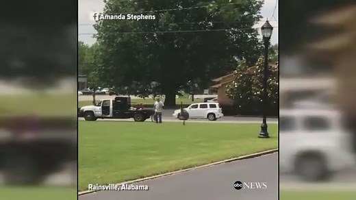 Emu on the loose causes havoc in Alabama