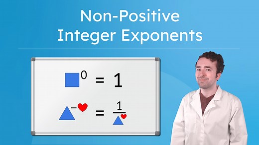 Non-Positive Integer Exponents