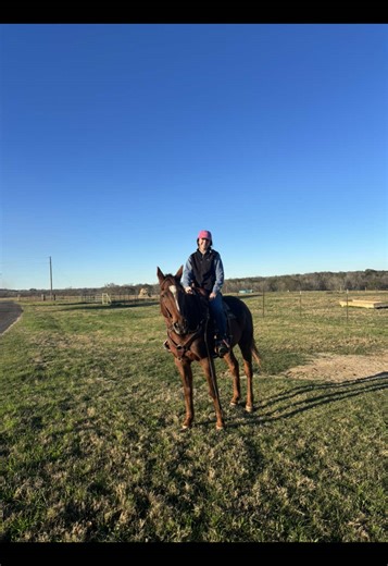 Red's Workout Routine for a Healthier Life