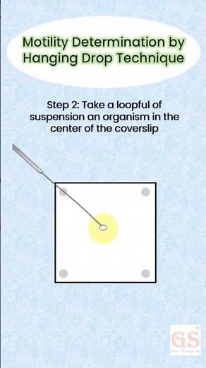 Hanging Drop Technique #motility#microbiology #biotechnology#learning #viral#viralshorts#bacteria