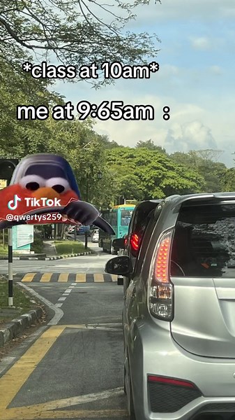 Tell Me Why: Elmo Driving Meme