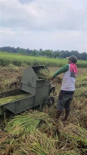 simple rice threshing machine that works optimally #shorts