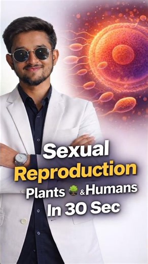 Sexual Reproduction in Plants and Humans | Class 10 Biology | CBSE