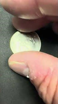 2024 Patsy Takemoto Mink Quarter DIE CLASH Error Coin #coinsworthmoney #coinrollhunting