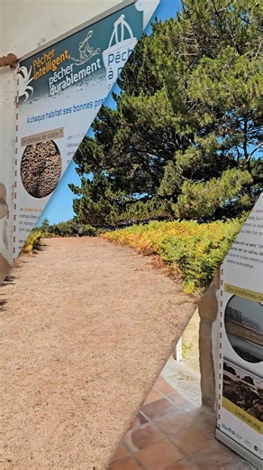 🛶 Pagayer, explorer, prendre le temps… cap sur l’Île Ilur, joyau du Golfe du Morbihan préservé par le Conservatoire du littoral et gérée par le Parc Naturel Régional du Golfe du Morbihan. Ici, le voyage se fait en kayak : zéro bruit, zéro émission, 100 % immersion. Prêt à tenter l’expérience du slow voyage ? -- #GolfeDuMorbihan #VoyageResponsable #slowtravel Par souci de transparence, la voix off de cette vidéo a été générée par IA. | Golfe du Morbihan Vannes Tourisme