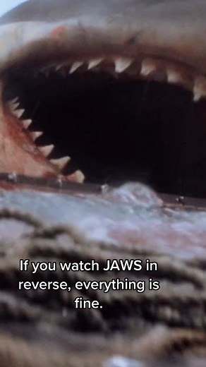 Universal Pictures Jaws Movie Scenes