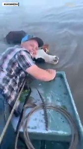 368K views · 195 reactions | These men saw a cow stranded in the...