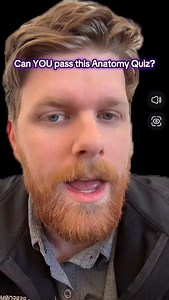 Anatomy Quiz: Muscles - - - - #anatomyandphysiology #medschool #nursingschool #nursingstudent #anatomy #medicalschool #nursingstudents #anatomystudy #nursing #medstudent | Anatomyquizzesdaily