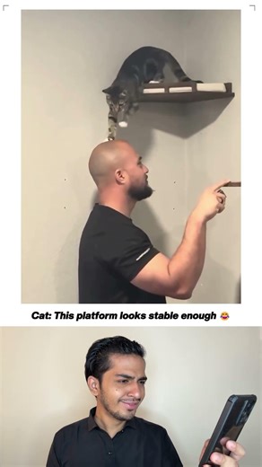 Ultimate Trust Fall 🐱🤯👨‍🦲