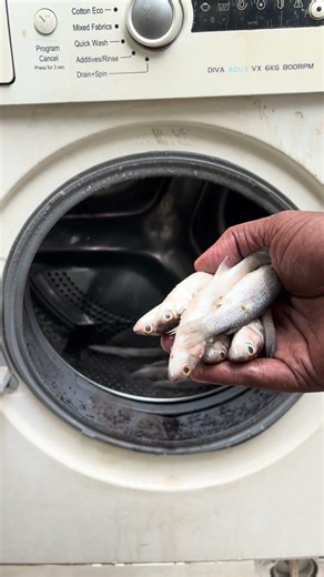 Fish cleaning washing machine #shotrs #washingmachine #Fishcleaning