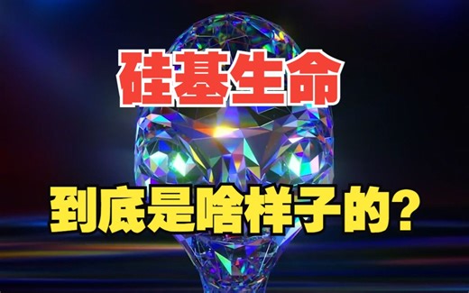 如果外星人是硅基生命会怎么样？