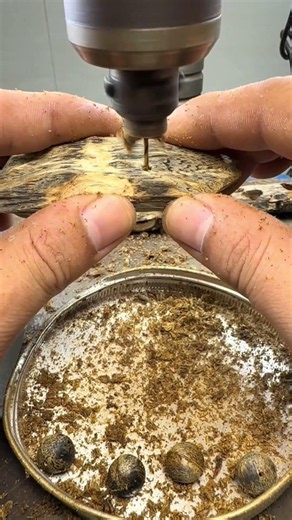What is QiNan Agarwood?