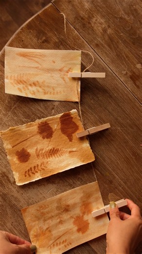 488K views · 8K reactions | Anthotype sun prints #naturecrafts #anthotype #turmericprints #fblifestyle | Sibster | Facebook