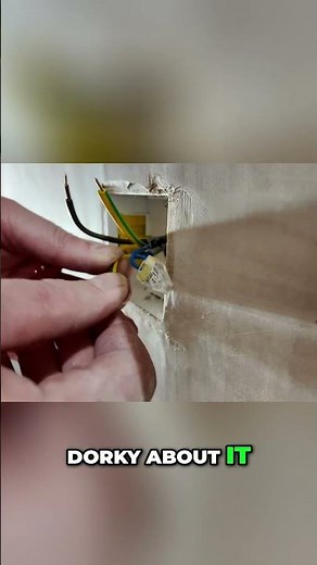Wago Connectors: The BEST Way to Wire Neutrals & Earths #shorts