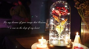 Christmas Rose Flower Gifts for Women Who Have Everything - Love Forever Rose for Mom from Daughter, Christmas Stocking Red Rose Meaningful Gift