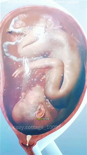 Natural process of giving birth (vaginal birth )3D animation #music #motivation #maternalfigures