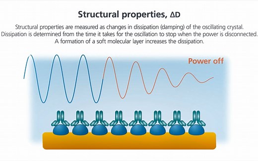 QCM-D 耗散型石英晶体微天平，直观理解频率因子Δf和耗散因子ΔD