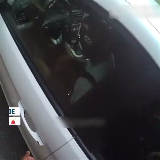 Routine Traffic Stop Escalates Due to Poor Decisions 🚓⚠️ What began as a standard police stop quickly became complicated when risky behavior and refusal to cooperate changed the situation. Watch to learn how traffic stops work and why calm compliance can prevent serious legal consequences. #TrafficStop #LegalAwareness #PublicSafety #KnowYourRights | FlashBadge