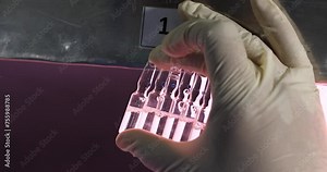 ampoule vial inspection, vaccine visual inspection production machine manufacturing a lot of injections in glass vials in a pharmaceutical factory process pink light, quality checks of vials