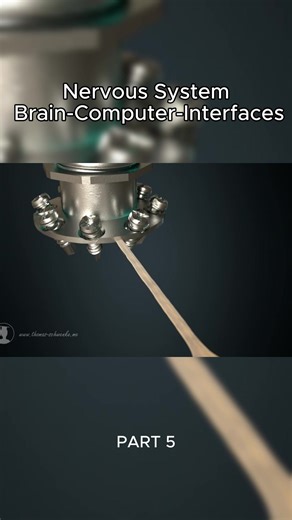 Nervous System - Brain & Machine #animation #medicine #humanbody #physiology #anatony