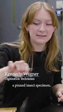 Working to Protect Bees (and Other Pollinators) through Digitization