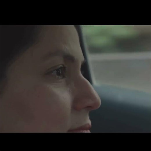 Restoring Sight Through Training - (Video A-3)