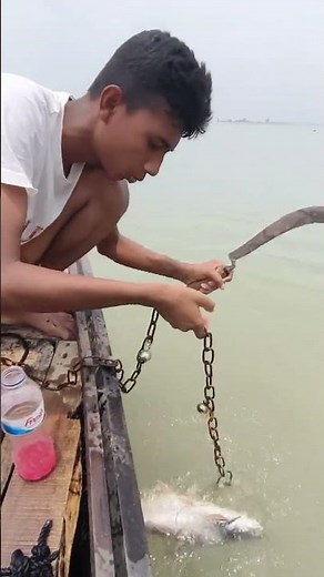 How to catch pangas fish from a boat is a cool fishing technique #fishing #fishinglife