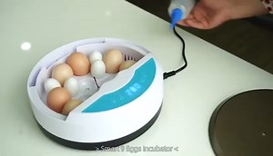9 Egg Incubators for Hatching Eggs, Chicken Incubator Automatic Egg Turner with Temperature Control, Egg Candler, Auto Water Adding for Duck Goose Quail Parrot Turkey (Blue)