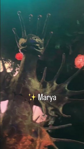 Meow Wolf Denver: Creatures of Numina | Part 3