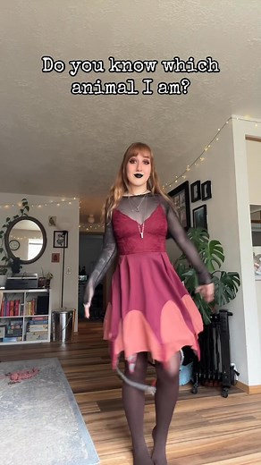 89K views · 1K reactions | Testing your knowledge of deep sea cephalopods here 殺 #Marinebiology #squid #cephalopods #deepsea #halloween2025 #halloweencostumeideas #marinelife #marineanimals #oceananimals #octopus | Meg Octopus Biologist | Facebook