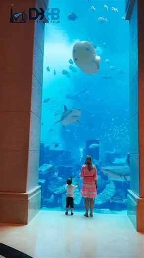 282 reactions | Dive into Wonder at Dubai Mall Aquarium & Underwater Zoo! Book now! ️ #DubaiMallAquarium #UnderwaterZoo #MarineLife #SharkEncounter #BookNow #DubaiAttractions | Dxb Travel And Tours | Facebook