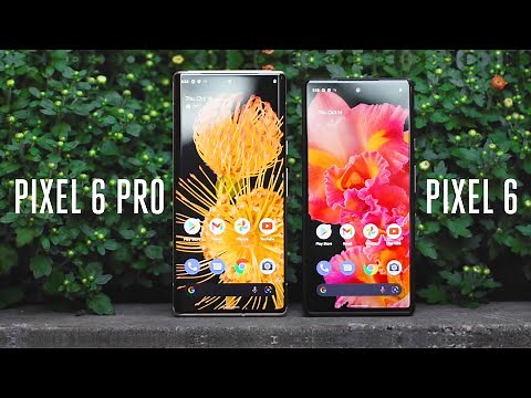 Google Pixel 6 and 6 Pro hands-on: big screens, big ambitions, small price