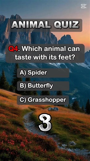 "Think you know the animal kingdom? Prove it! 🦁🧠" #animalquiz #QuizChallenge #mindquiz #ThinkFast #quiz #fyp | Mind Facts