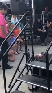 The dog in an elephant costume acts as a wind-up toy | Nhiều Đô Laa