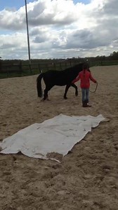 3.8K views | TRTmethod on Reels | Facebook