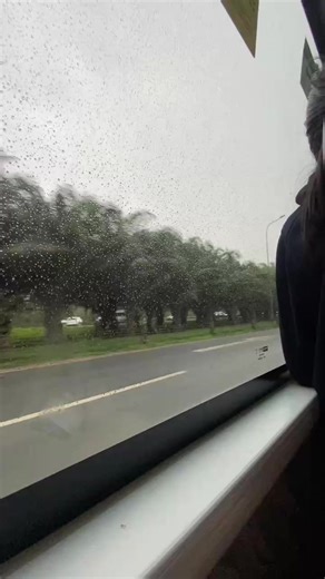 Vinschool: A Glimpse Through Our Eyes