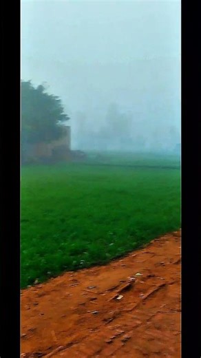 Village Life: A Full Weather Report (Documentary)#villagelife