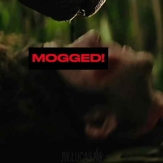 Mogged by Cyclops😂✌️ | #primitivewar #dinosaur #dinosaurmovie #jurassicworld #jurassic | still haven’t been able to fully watch this movie cause it costs money everywhere. Eventually I’ll see it though trust🤞 rate the edit though👀
