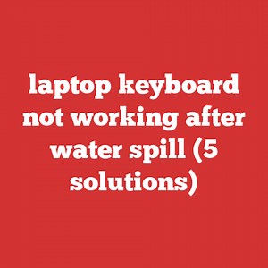 Laptop Keyboard Not Working After Water Spill (5 Solutions)